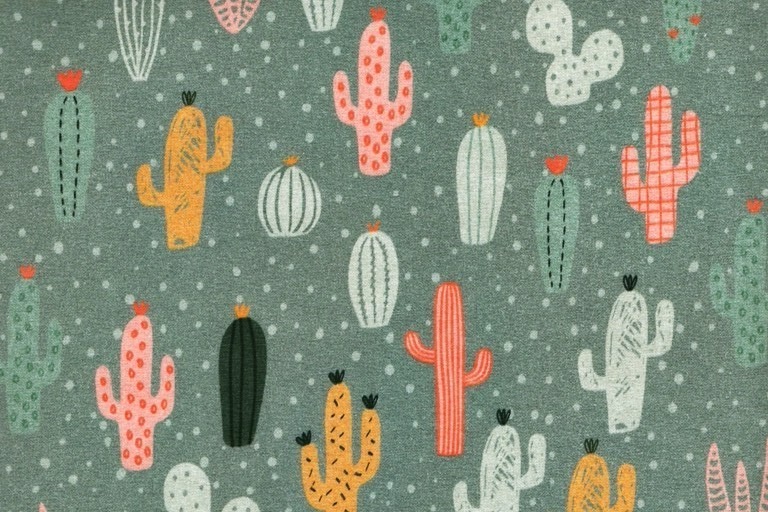 cactus verdes