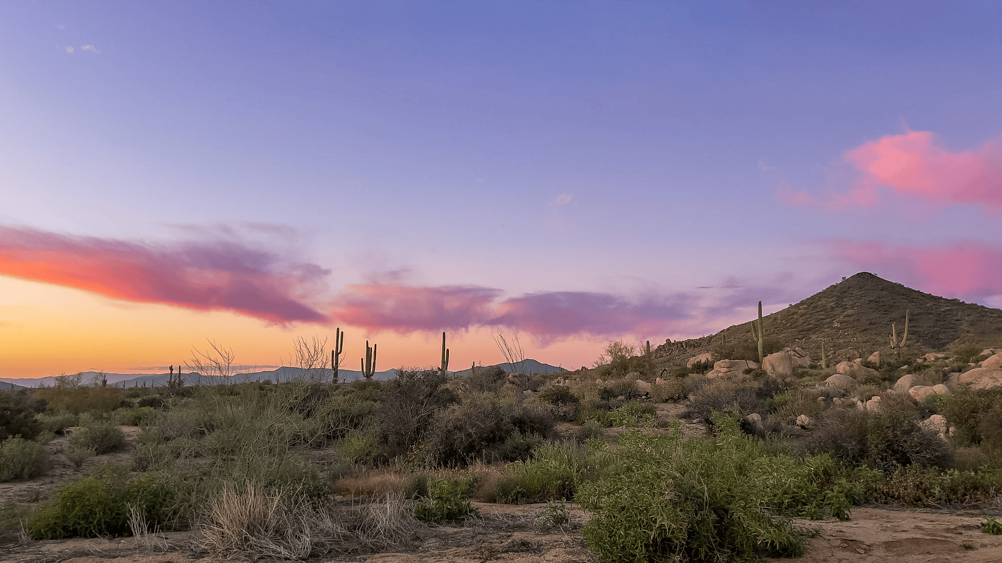 Welcome to Cottonwood: Strategic Business Advisory for Growth, Performance, and Long-Term Success