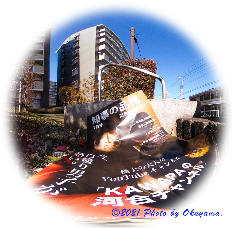 県知事選挙