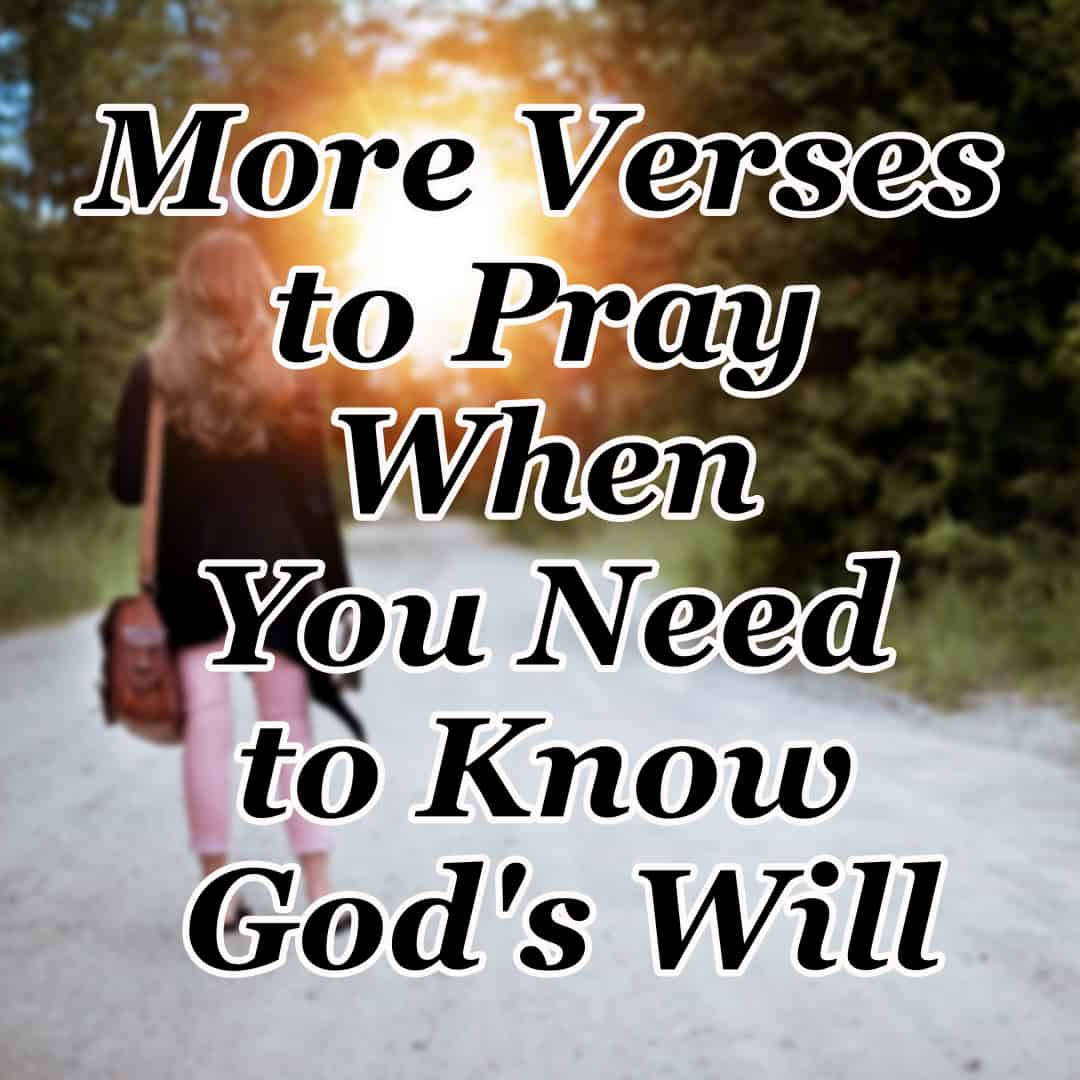 5 More Verses to Pray When You Need to Know God's Will - Counting My ...