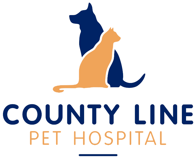 veterinarian in steger il county line pet hospital on pet vet express crete il