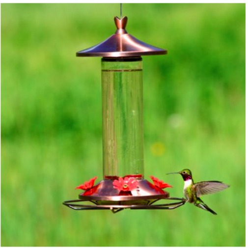 Hot Deals Amazon Bird Feeders on Sale! (2024)