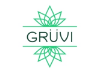 Grüvi
