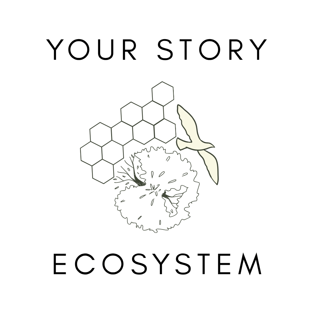 Your Story Ecosystem