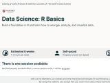 Data Science R Basics Courses Vision