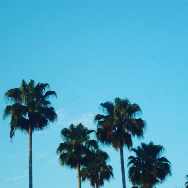 Outside Changi Airport, Singapore, Singapore February 2011