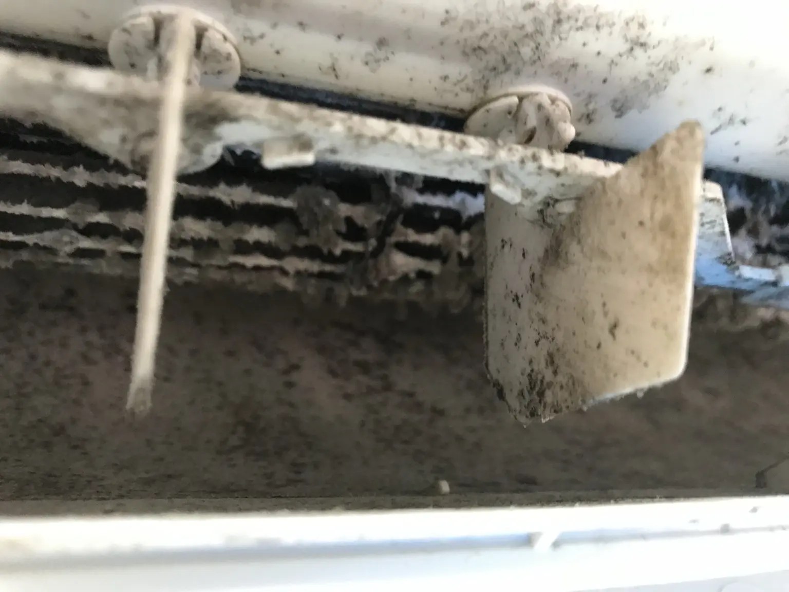 カビとホコリが付着した洗浄前の送風ファン