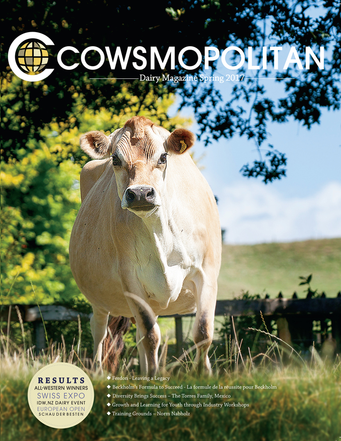 Spring 2017 Cowsmo - Creative Landscape Photo - HD