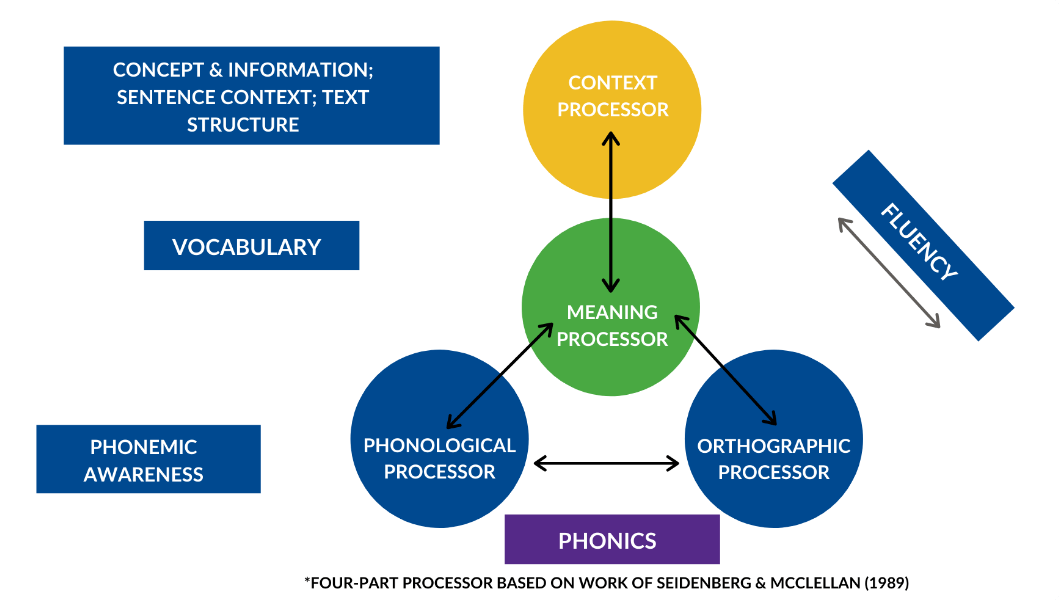Constructing a deep reading brain: science of reading