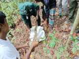 10 Foot Long Python Rescued In Chakaria Coxsbazarlife