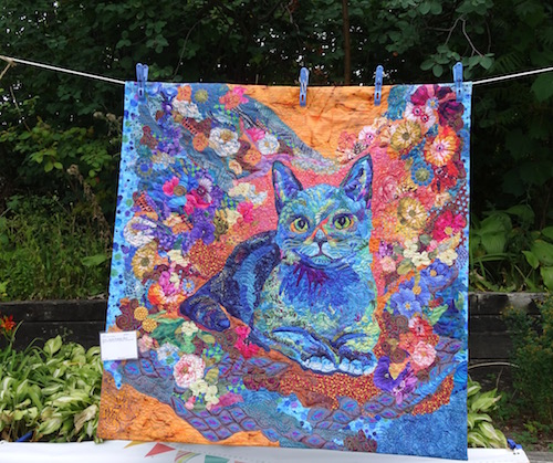 amazing .. Russian Blue