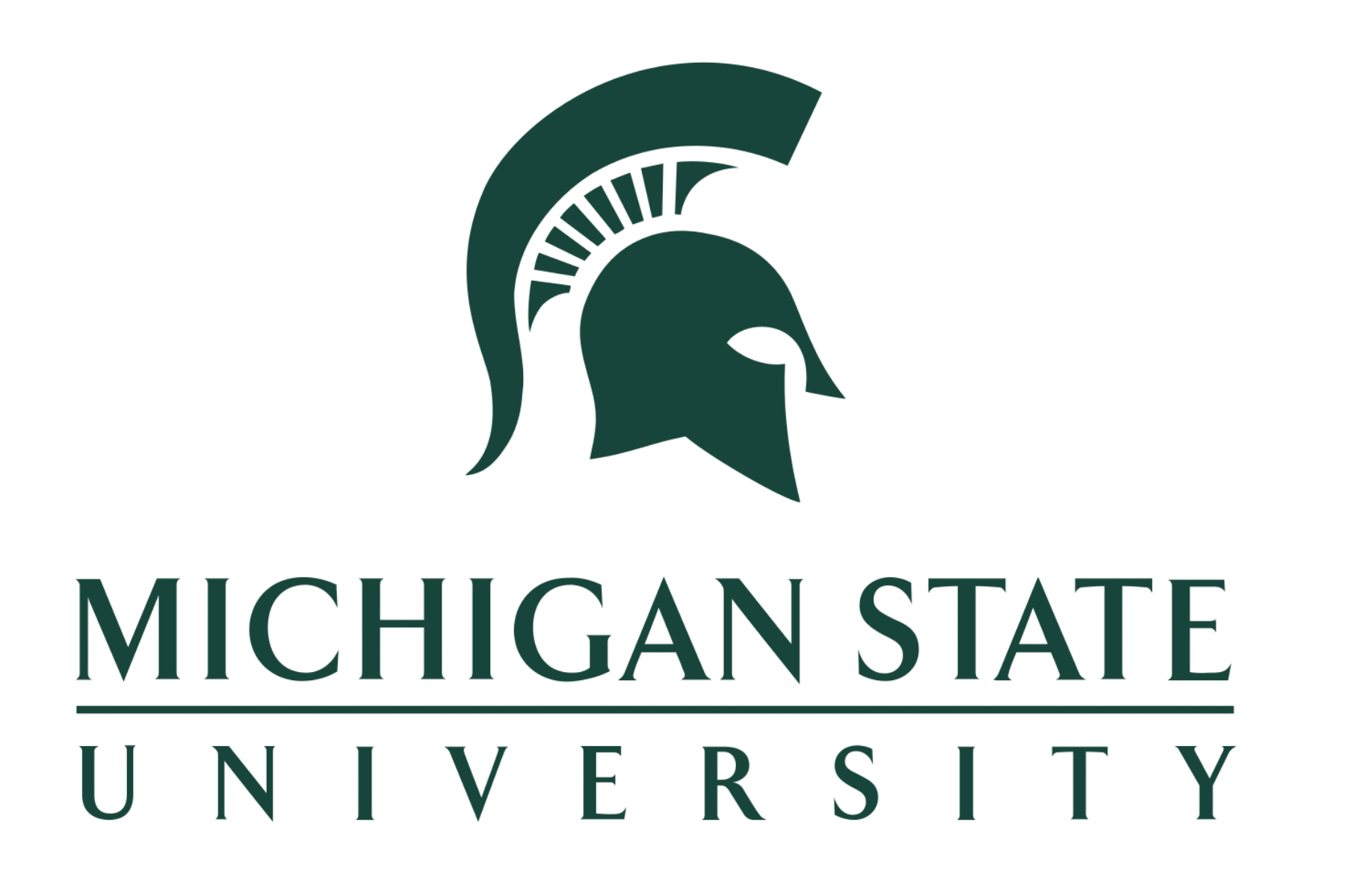 Michigan State Transparent
