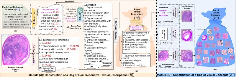 Github Wwylab Clipp Clonal Structure Identification Through - Best Geometric Pictures in High Resolution