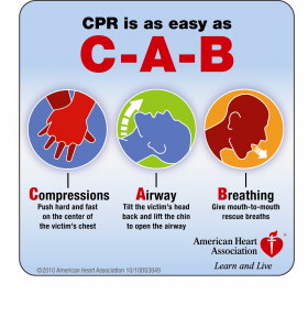 You have the option to purchase your bls certification after completing the online lessons. American Heart Association Basic Life Support Test Questions And Answers Cpr Test