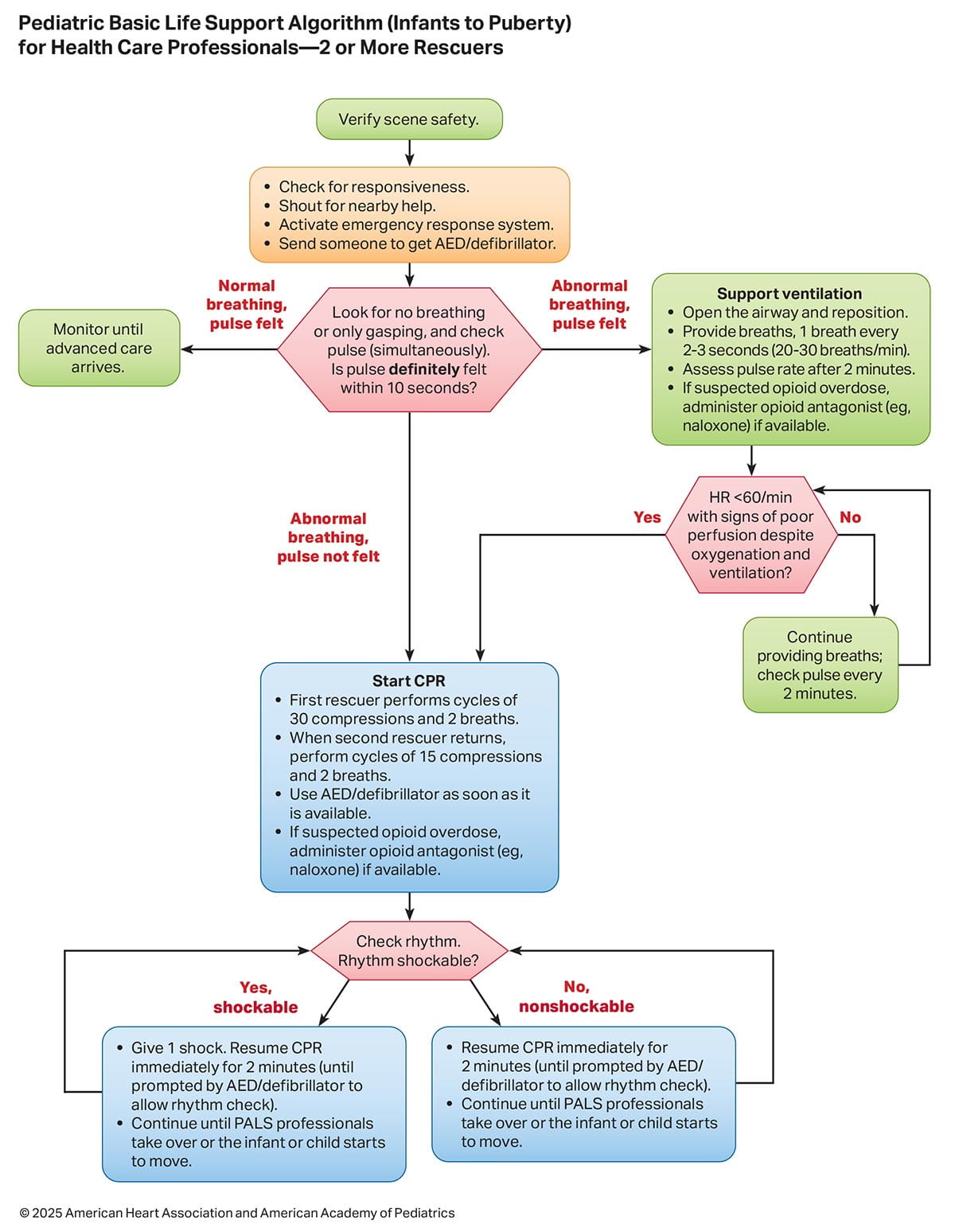 Basic Life Support Algorithm Pdf Cardiopulmonary Resuscitation - High Quality Nature Picture - Desktop