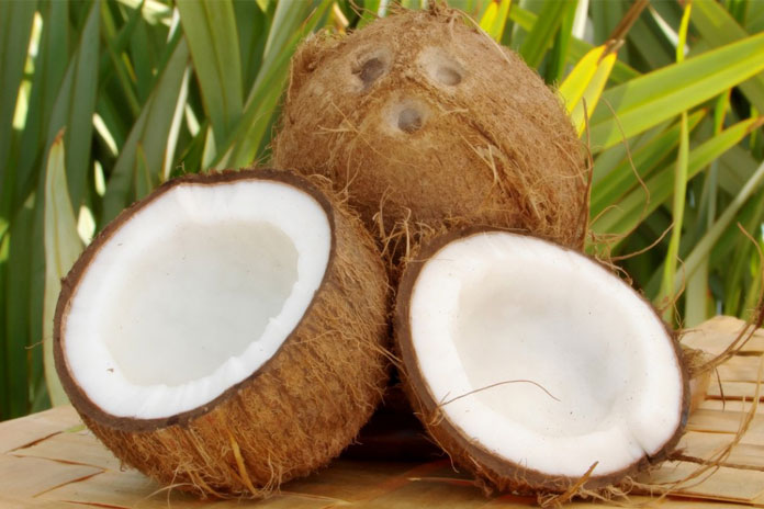 Regional coconut development project