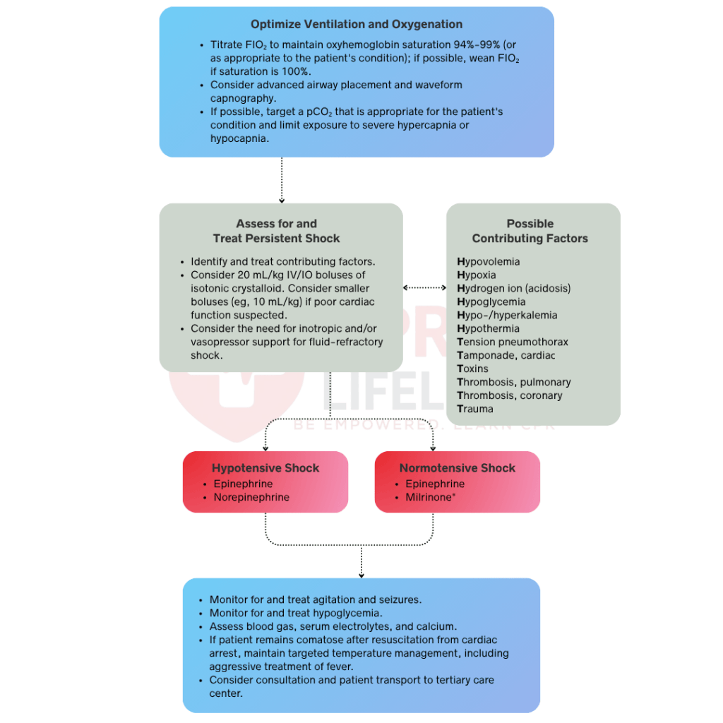 Pals algorithm: new updated 2025 aha guidelines