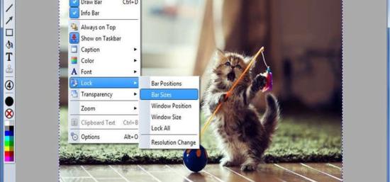 SmartCapture License Key