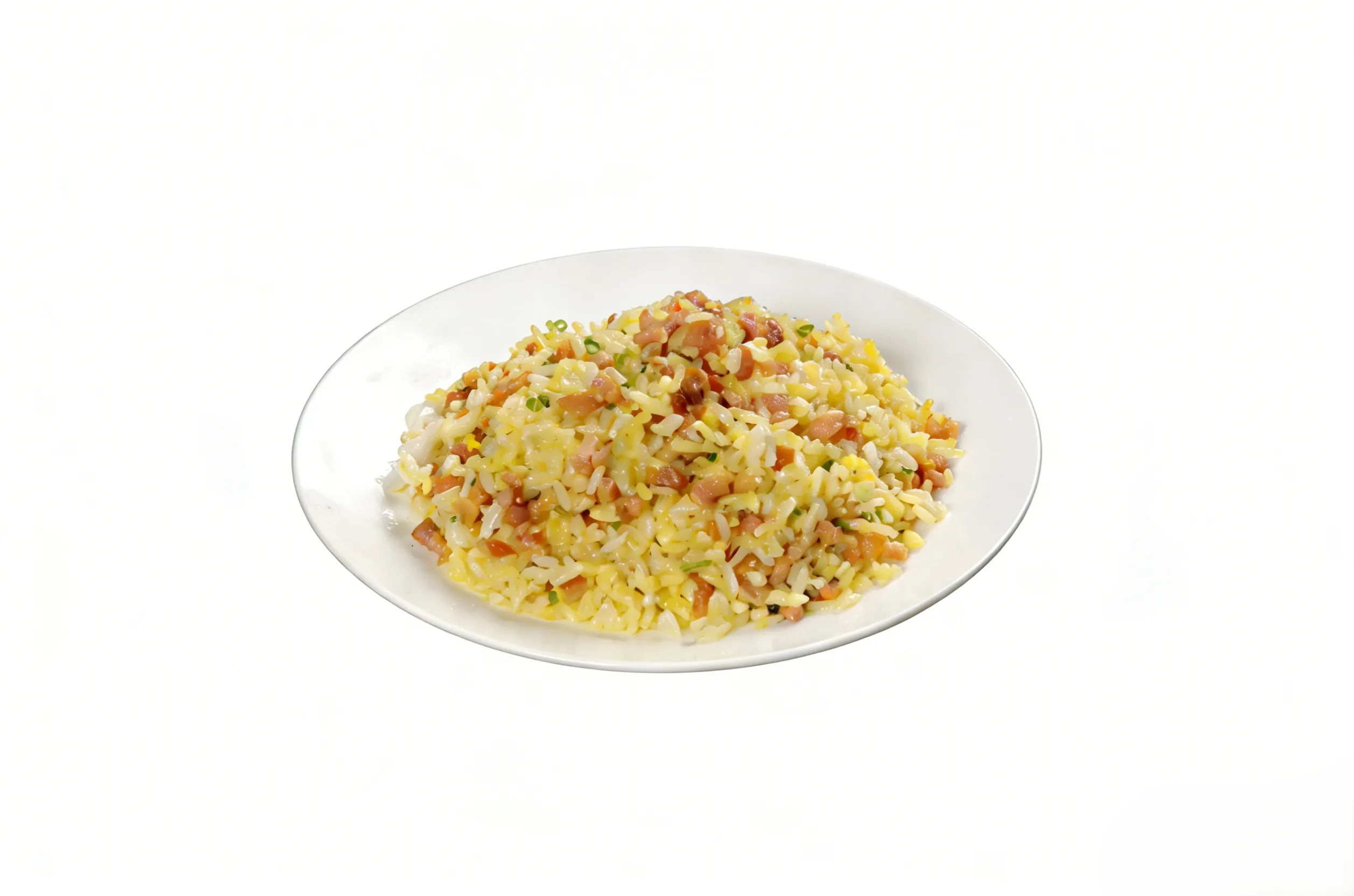 Salted_Fish Fried Rice_converted