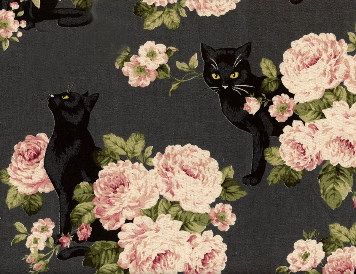 kitty bouquet