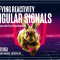 Newline – Demystifying Reactivity with Angular Signals (Premium)
