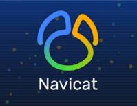 Navicat for MySQL 17.3.2 Crack + Keygen 2025 Here