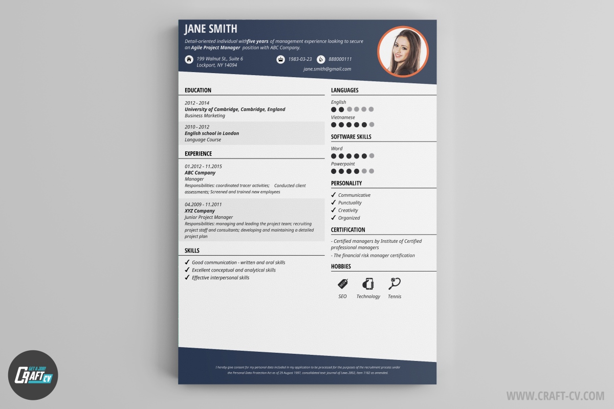 Cv Maker Professional Cv Examples Online Cv Builder Craftcv