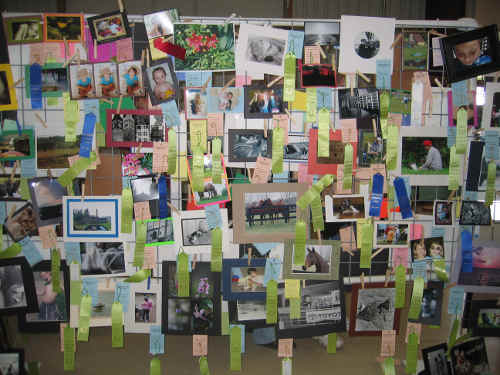 Organize 1000 Of Photos Easily