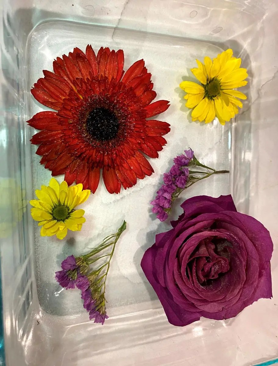 Flowers after drying in silica gel