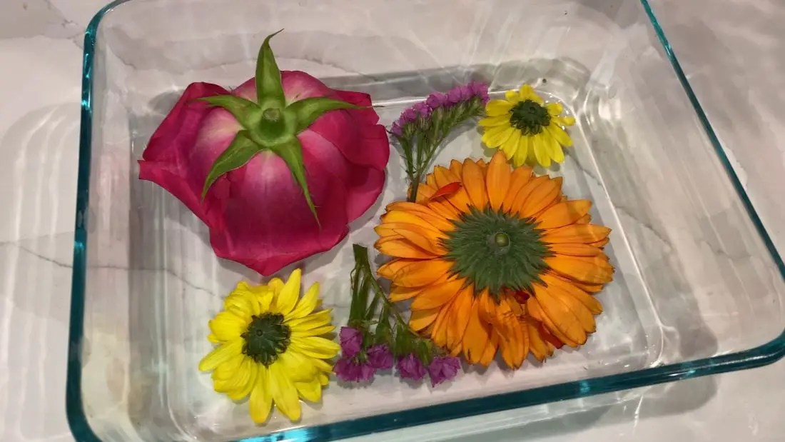 Flowers cut and prepped for drying in silica