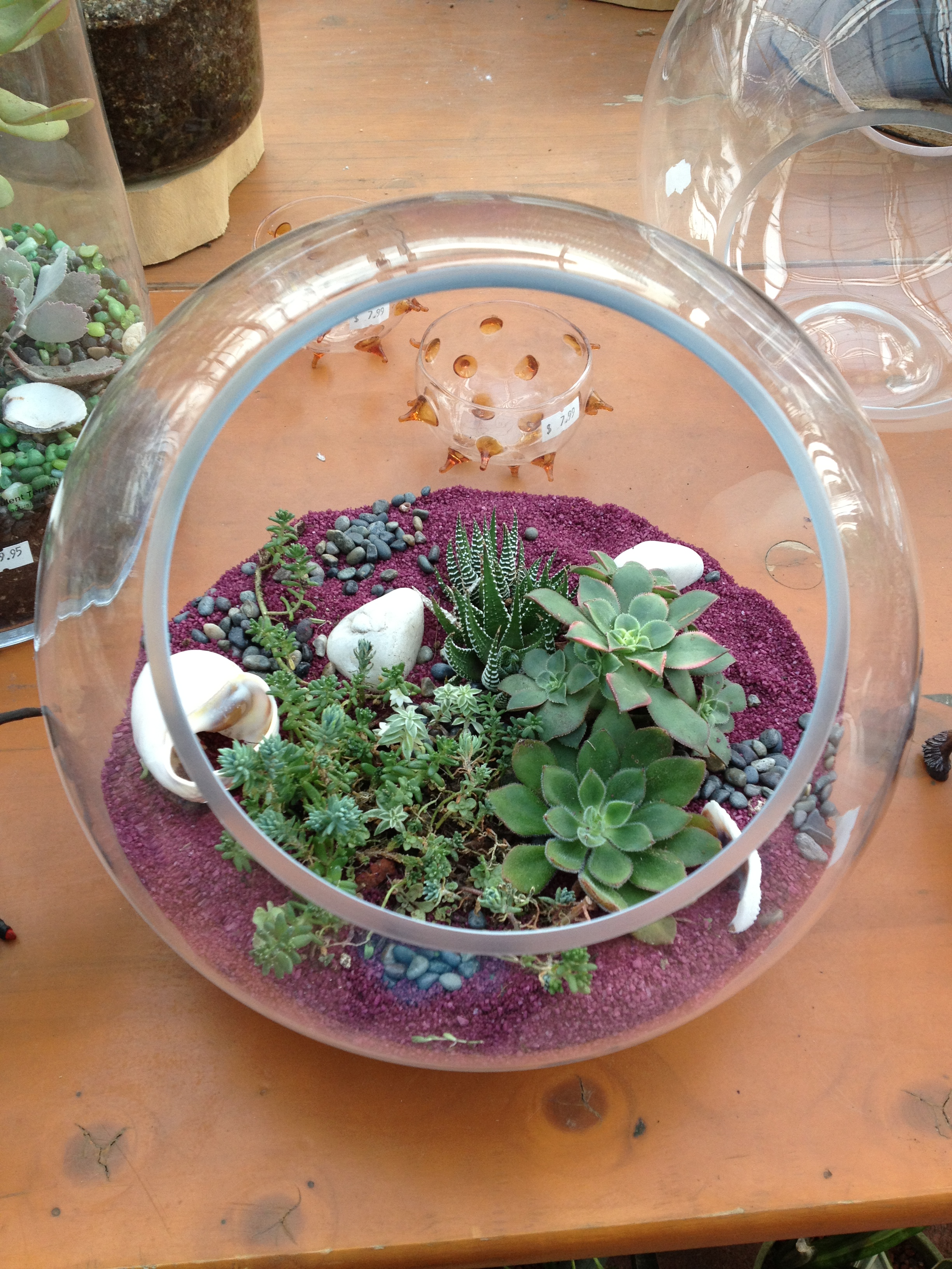 terrarium.