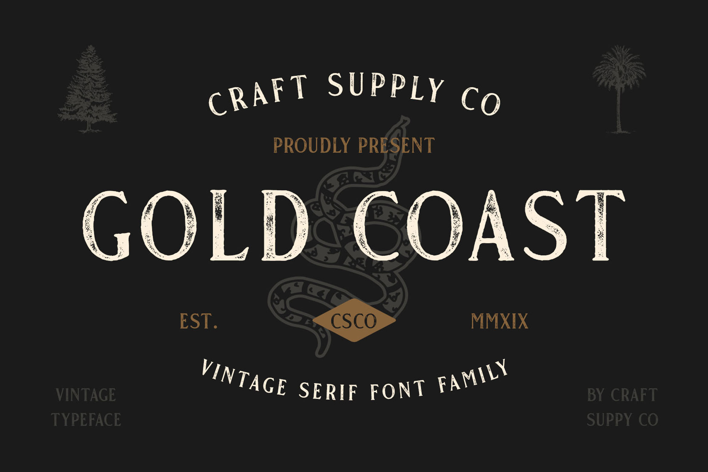 The Vintage Sans Serif Font Bundle