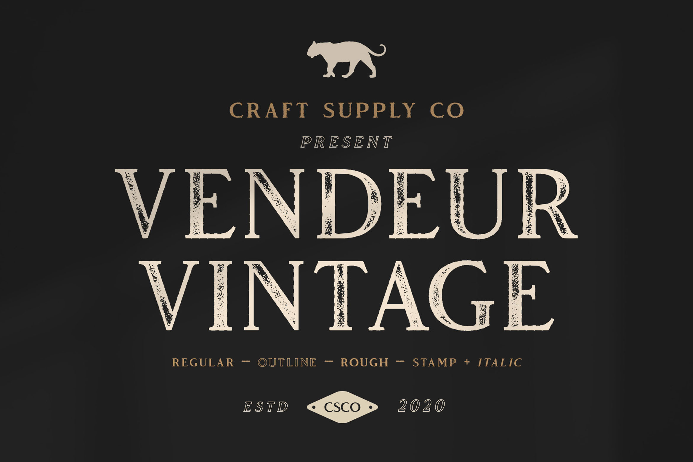 The Vintage Sans Serif Font Bundle