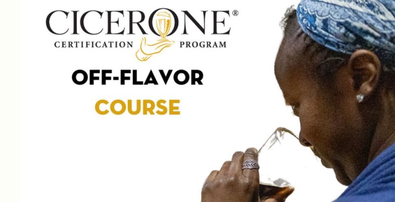Flavour Training Cicerone Certification Program - Download Artistic Gradient Image | High Resolution