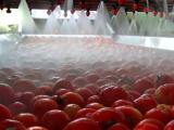 How Cranberries Are Processed Cranby