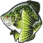 Crappie Gummys