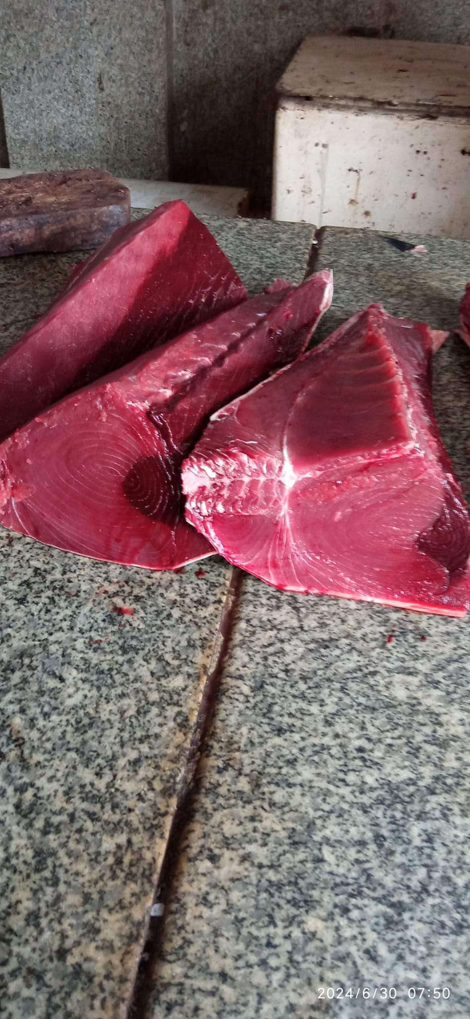 إستمرار إرتفاع أسعار الأسماك في مدينة عدن