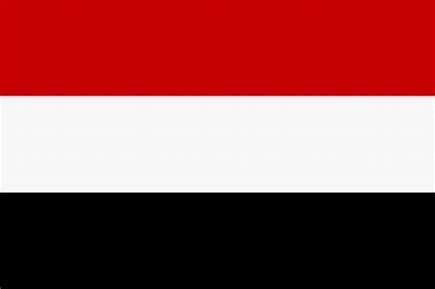 منظمة دولية تنشر أرقام ضحايا الصراع باليمن خلال العام الجاري