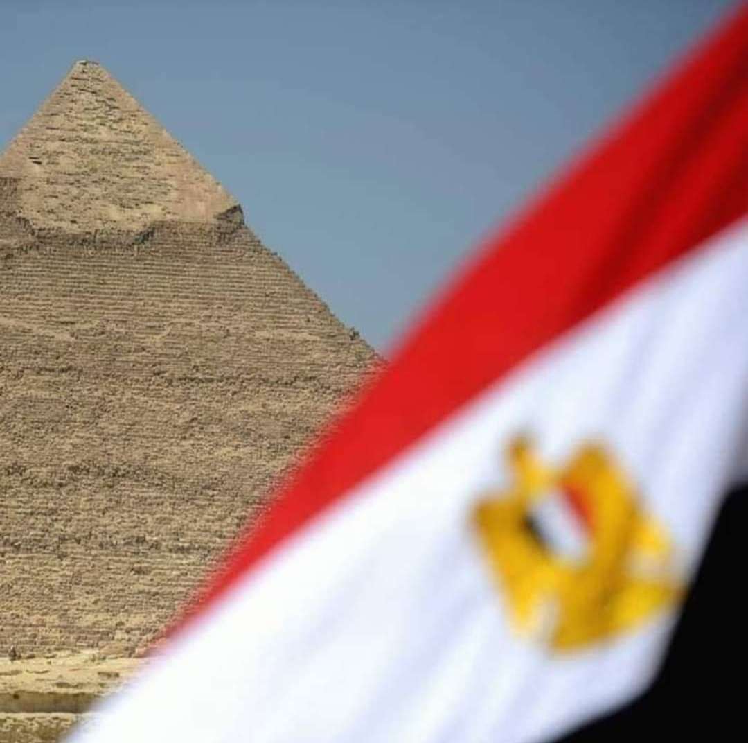 مصر تطرد السفير الإماراتي لهذا السبب