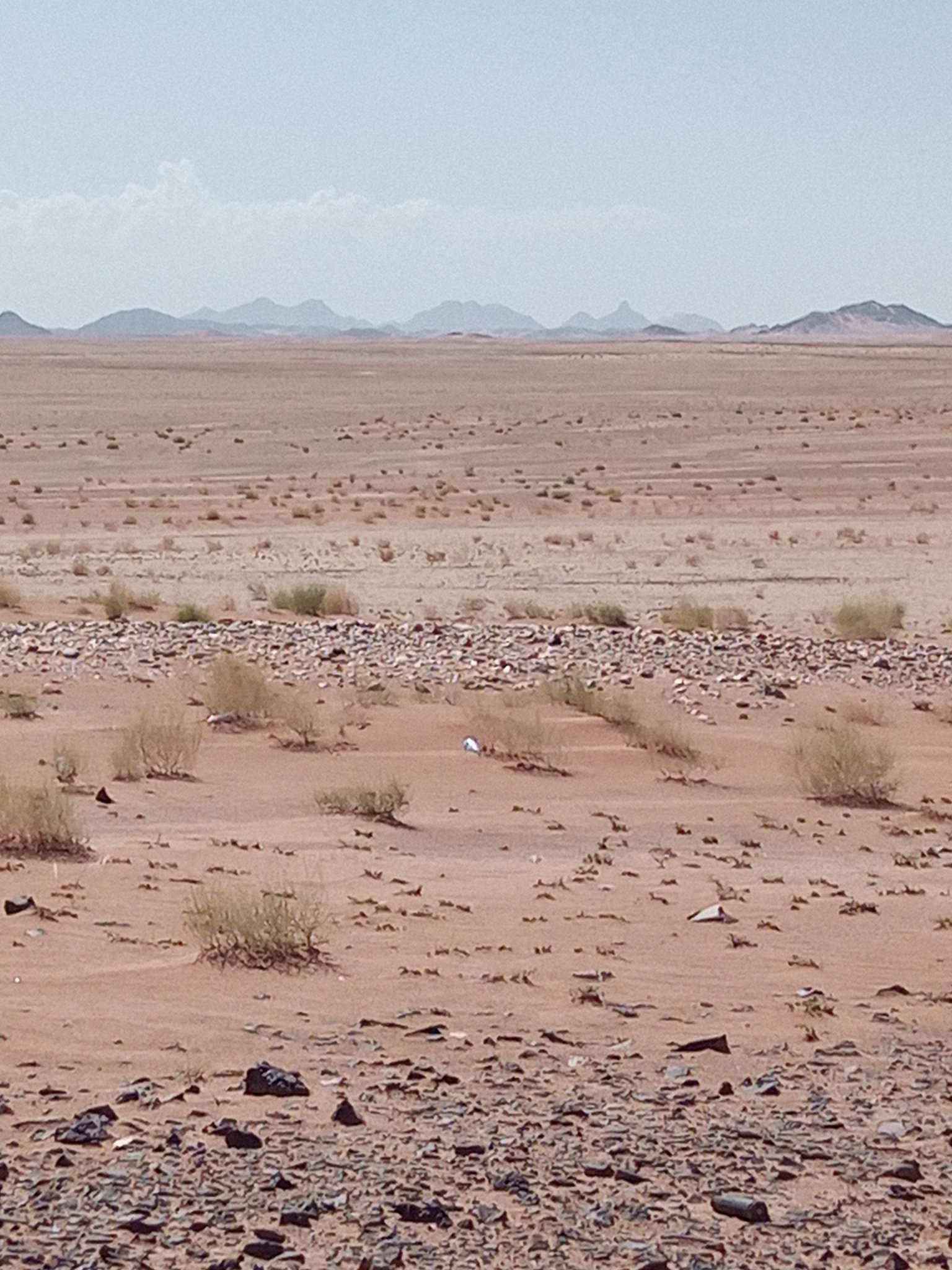 هجوم كبير للشرعية على الحوثيين بجبهة جديدة