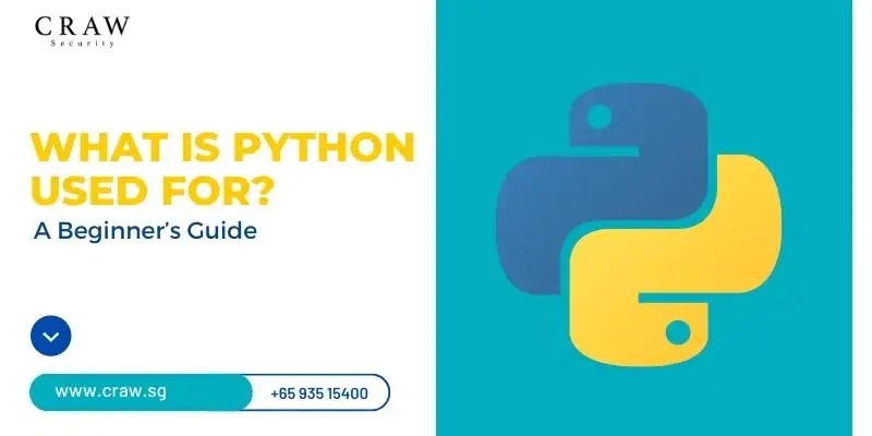 What Is Python Used For? A Beginner’s Guide to Applications, Benefits