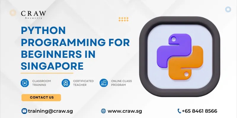 Python Programming for Beginners in Singapore