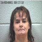 Sturgill, Roseanne M. - Probation violation. Domestic violence.