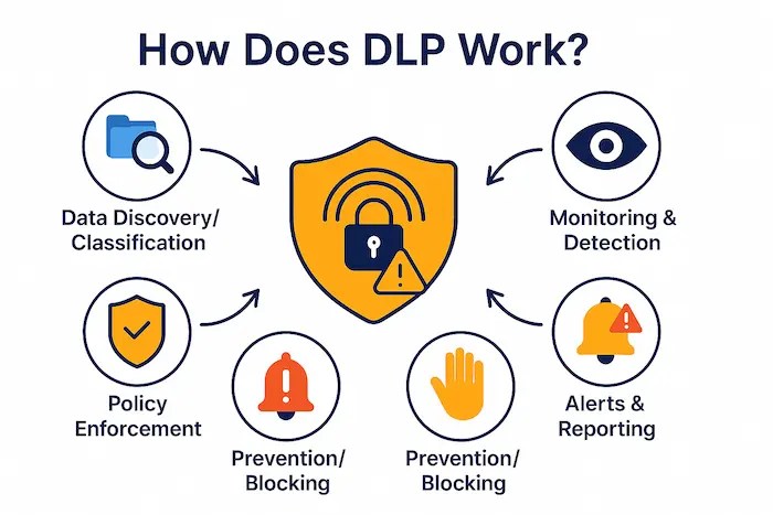 Details of How Does DLP Work?