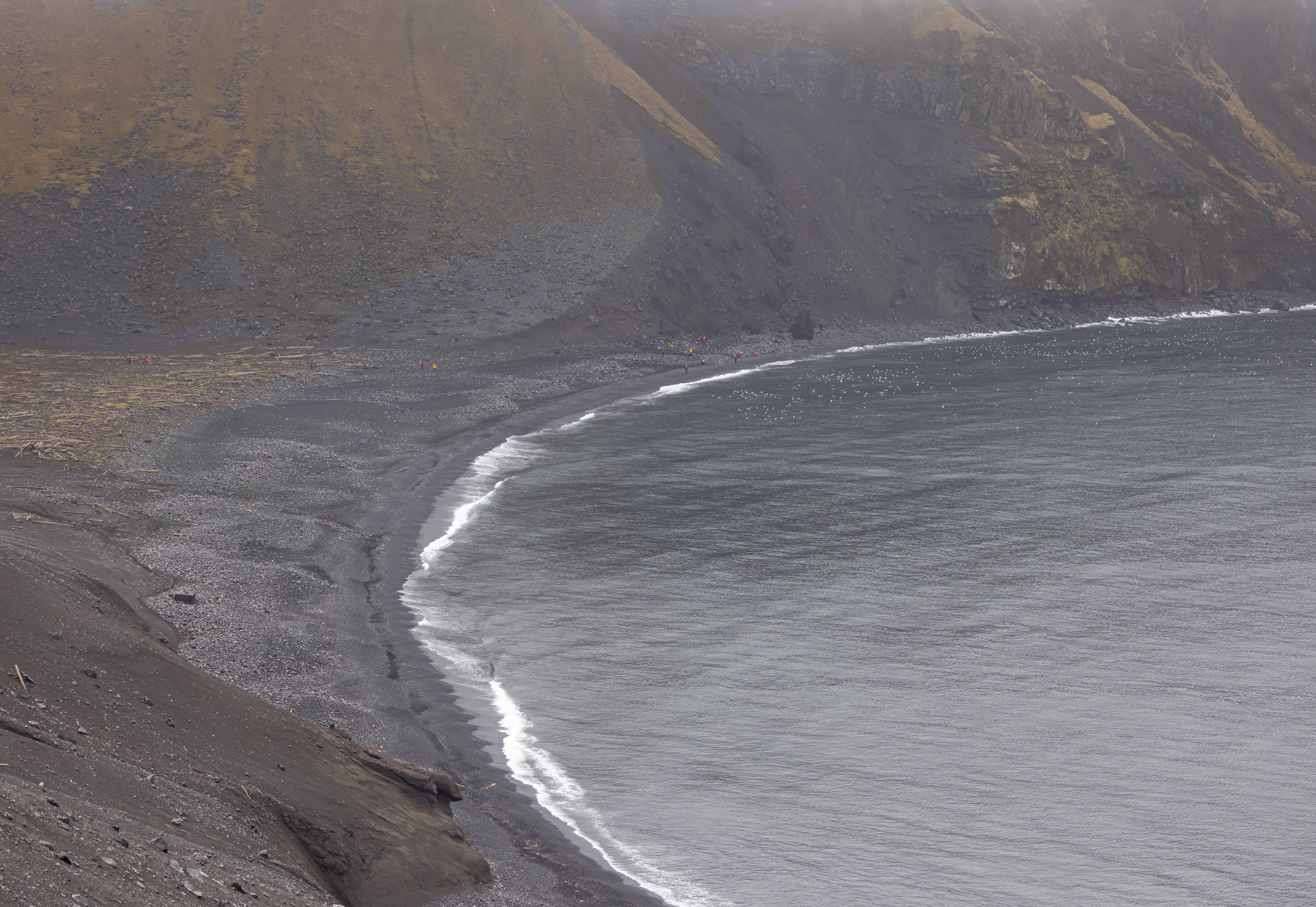 Busy shore, Jan Mayen, Greenland