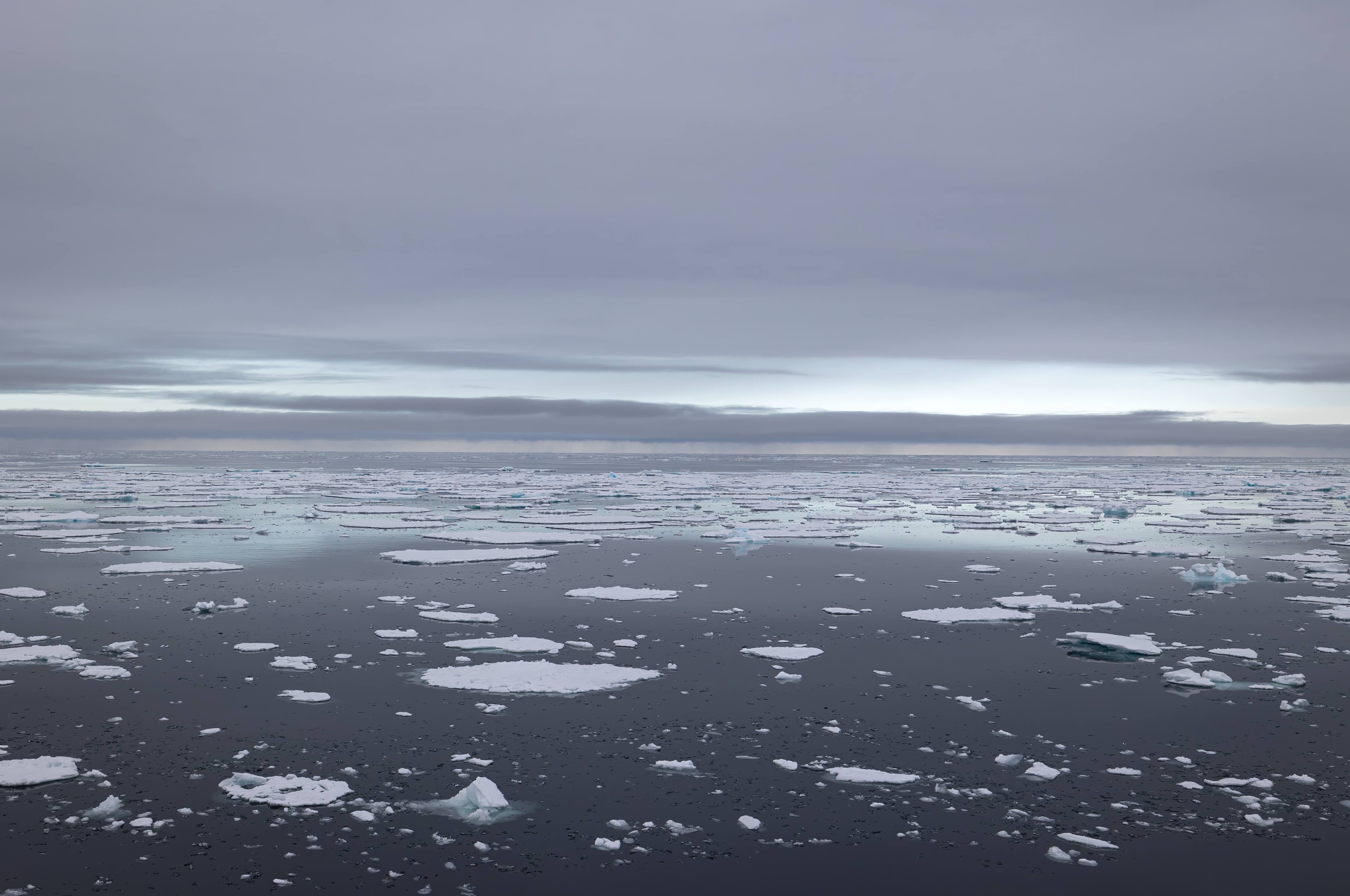 Exit - Pack Ice North Greenland Sea