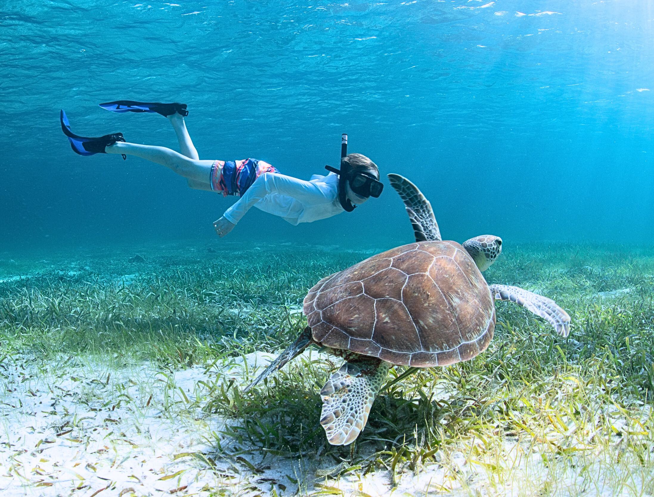 Girl snorkeling - Grand Cayman