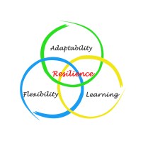 Resilience at the intersection of Adaptability, Learning, and Flexibility