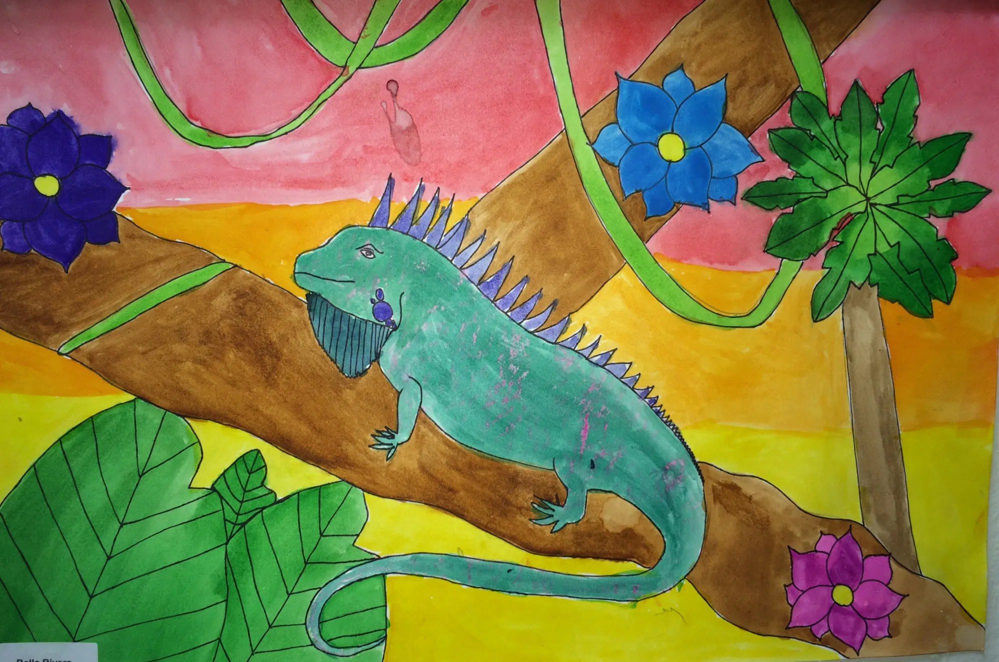Color contrast texture rubbings iguana watercolor painting