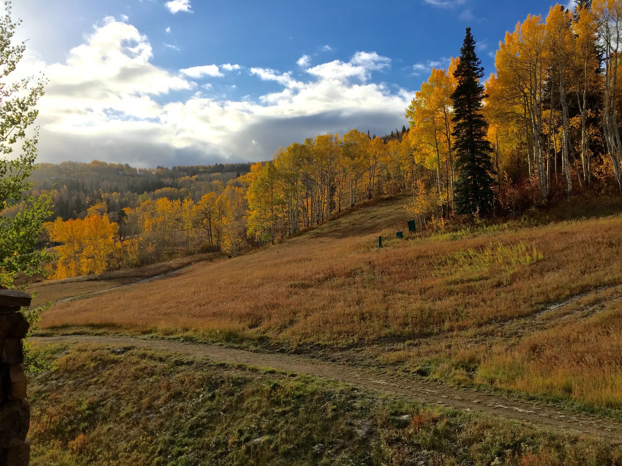 Fall Aspen Trees Mixed-Media Art Lesson (Watercolor Painting \u0026 Collage) -  Create Art with ME, image size:2400x1800